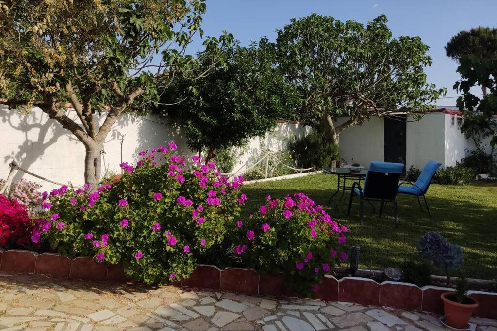 Casa Con Piscina Privada Y Jardin Villa Chiclana de la Frontera Dış mekan fotoğraf